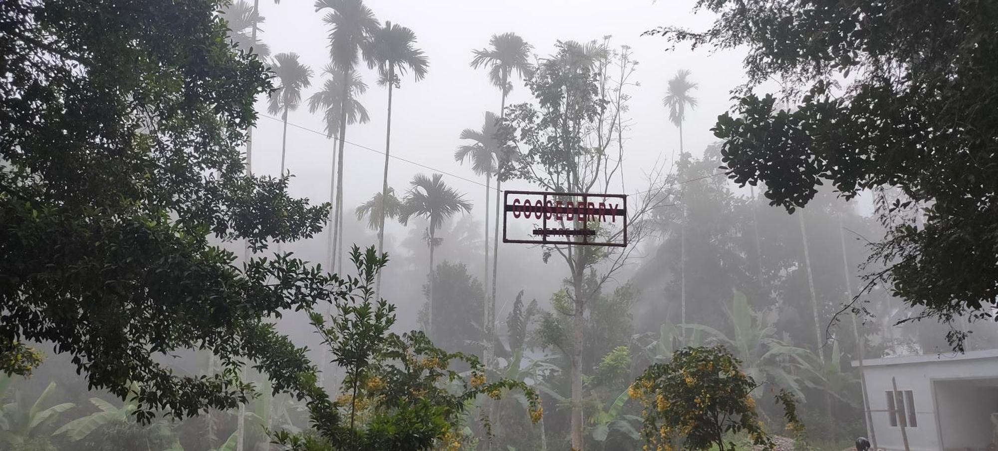 Gooseberry Family Retreats - Wayanad By Karapuzha Resorts Meenangadi Exterior photo